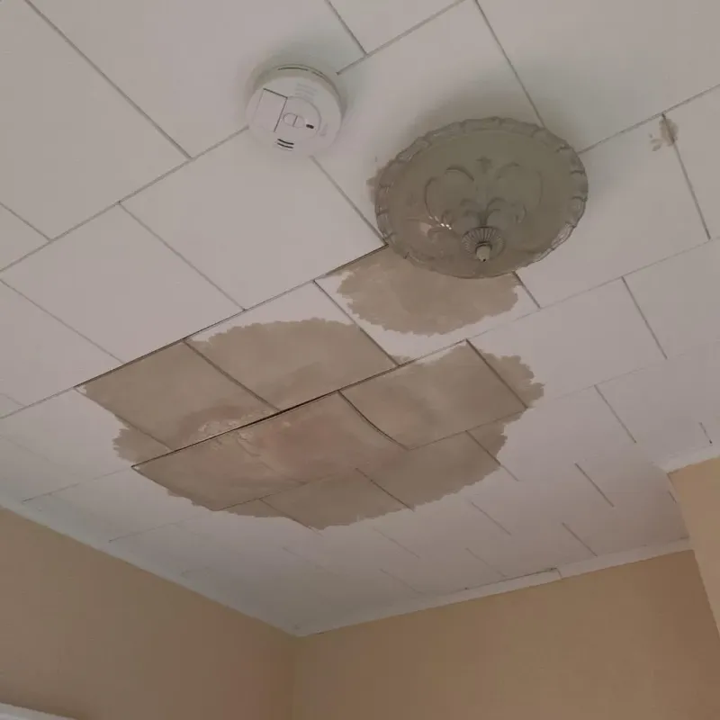 Ceiling Water Damage Repair in Shelton, NE