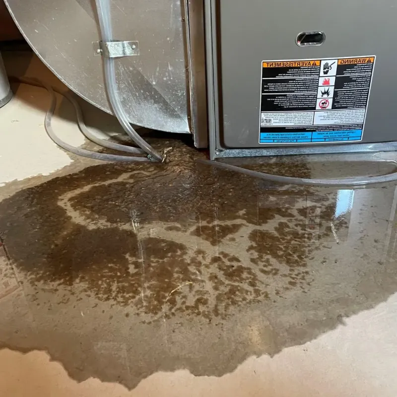 Pipe Burst and Leak Restoration in Shelton, NE