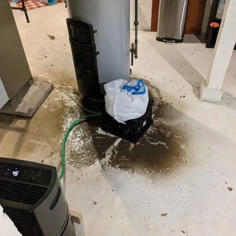 Sewage Backup Cleanup Service in Shelton, NE